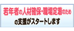 若年者人材確保・定着総合支援事業