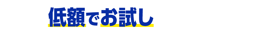 まずは低額でお試ししてみませんか？