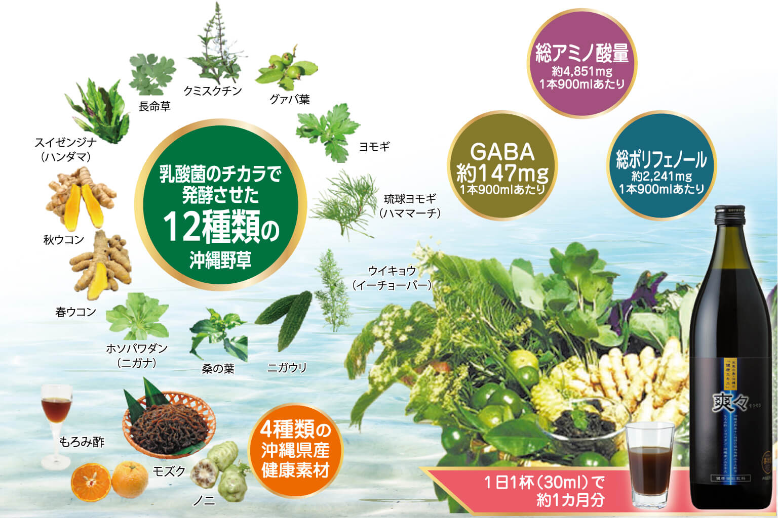健康食品とタウン誌の記事広告を紹介するイメージ